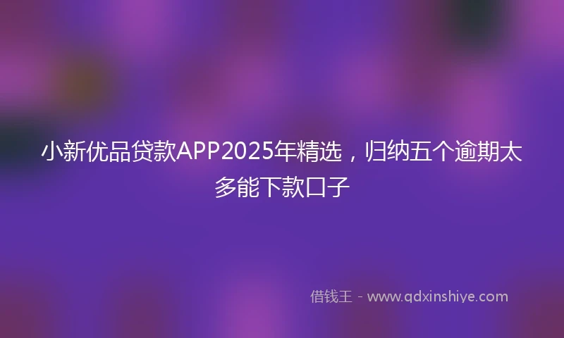 小新优品贷款APP2025年精选，归纳五个逾期太多能下款口子