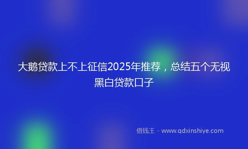 大鹅贷款上不上征信2025年推荐，总结五个无视黑白贷款口子