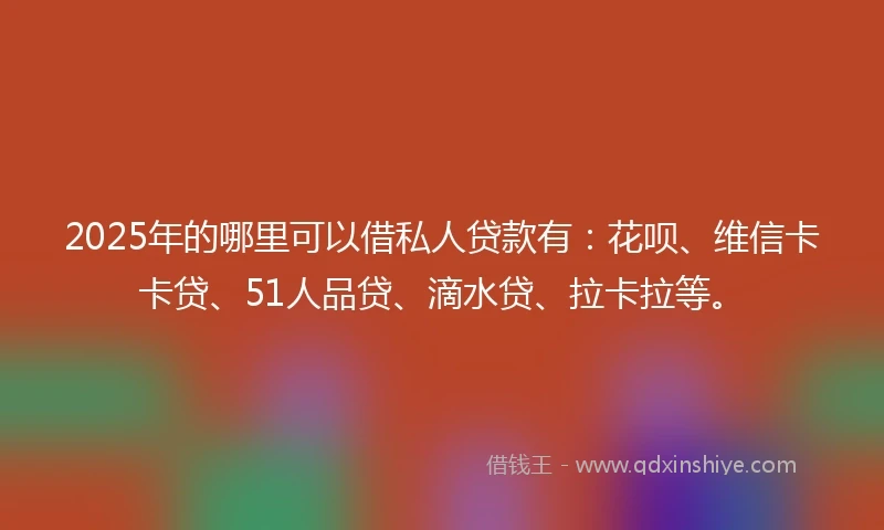 2025年的哪里可以借私人贷款有：花呗、维信卡卡贷、51人品贷、滴水贷、拉卡拉等。