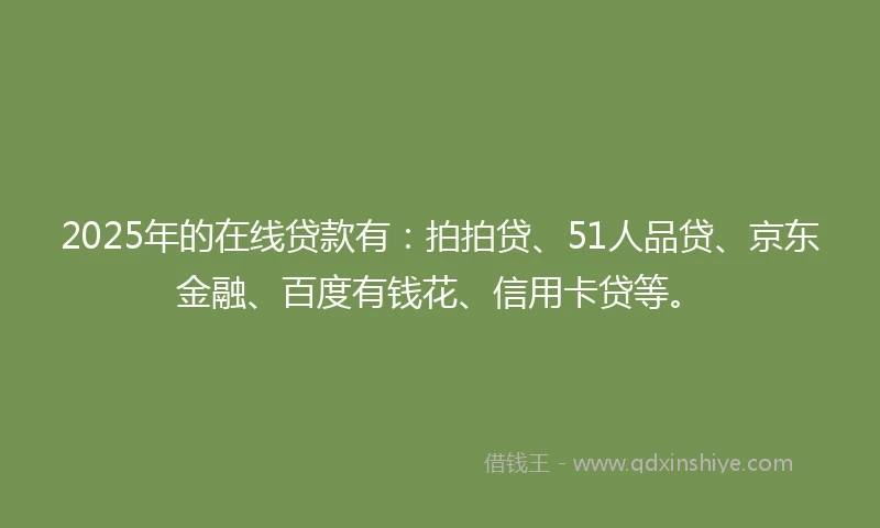 2025年的在线贷款有：拍拍贷、51人品贷、京东金融、百度有钱花、信用卡贷等。