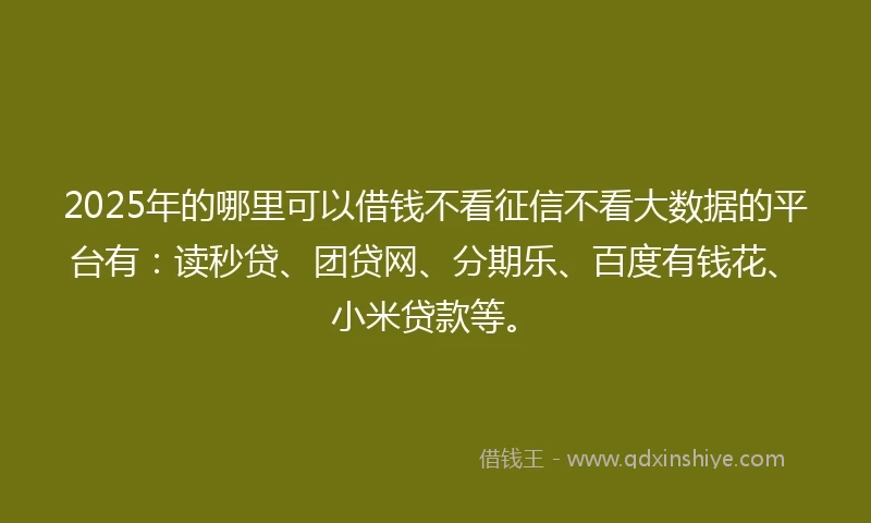 2025年的哪里可以借钱不看征信不看大数据的平台有：读秒贷、团贷网、分期乐、百度有钱花、小米贷款等。