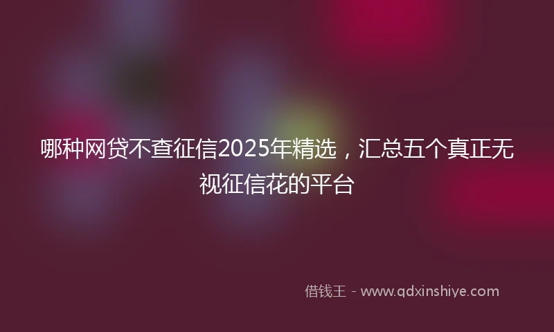 哪种网贷不查征信2025年精选，汇总五个真正无视征信花的平台