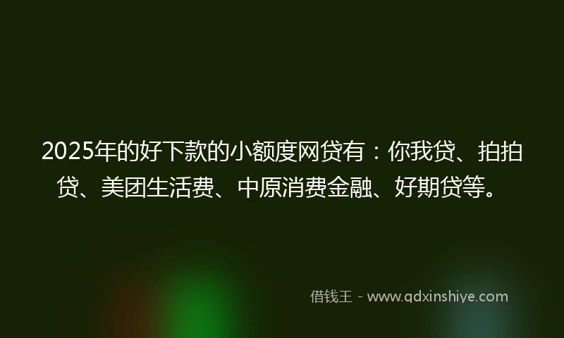 2025年的好下款的小额度网贷有：你我贷、拍拍贷、美团生活费、中原消费金融、好期贷等。