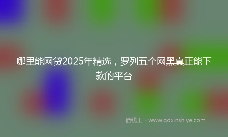 哪里能网贷2025年精选，罗列五个网黑真正能下款的平台