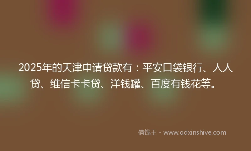 2025年的天津申请贷款有：平安口袋银行、人人贷、维信卡卡贷、洋钱罐、百度有钱花等。