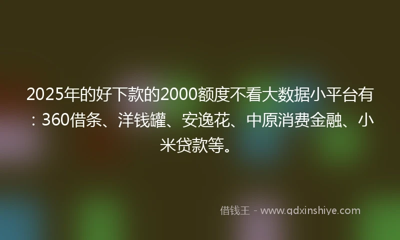 2025年的好下款的2000额度不看大数据小平台有：360借条、洋钱罐、安逸花、中原消费金融、小米贷款等。