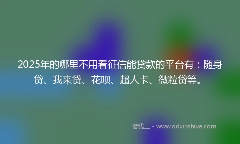 2025年的哪里不用看征信能贷款的平台有：随身贷、我来贷、花呗、超人卡、微粒贷等。