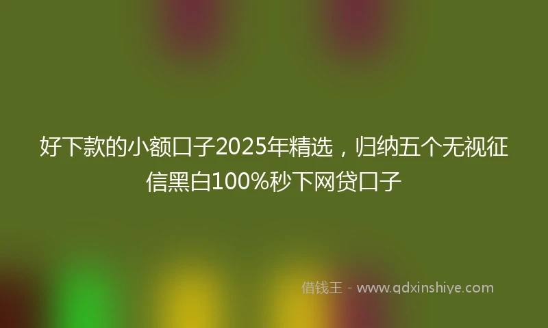 好下款的小额口子2025年精选，归纳五个无视征信黑白100%秒下网贷口子