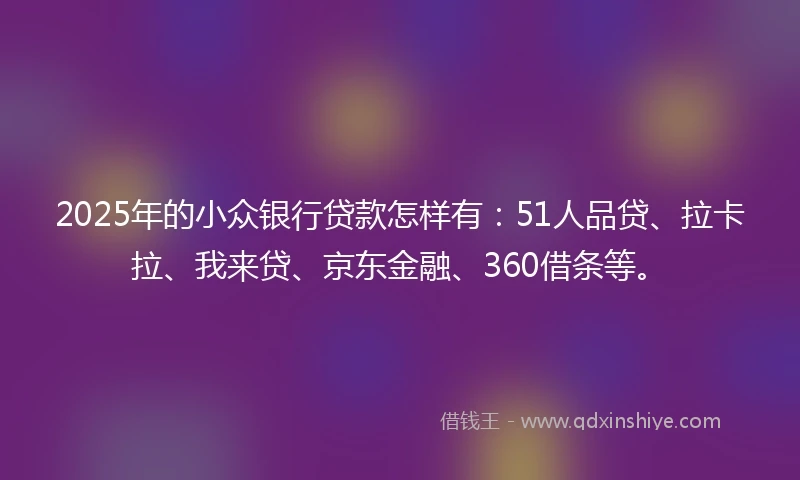 2025年的小众银行贷款怎样有：51人品贷、拉卡拉、我来贷、京东金融、360借条等。