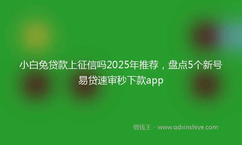 小白兔贷款上征信吗2025年推荐，盘点5个新号易贷速审秒下款app
