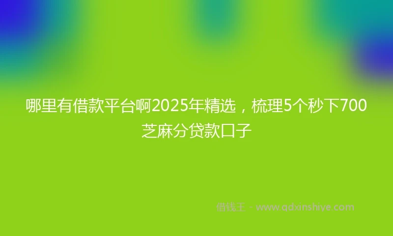 哪里有借款平台啊2025年精选，梳理5个秒下700芝麻分贷款口子