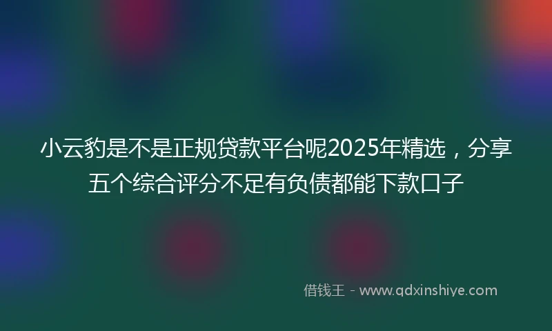 小云豹是不是正规贷款平台呢2025年精选，分享五个综合评分不足有负债都能下款口子