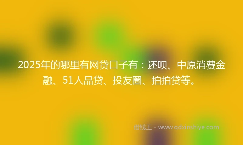 2025年的哪里有网贷口子有：还呗、中原消费金融、51人品贷、投友圈、拍拍贷等。
