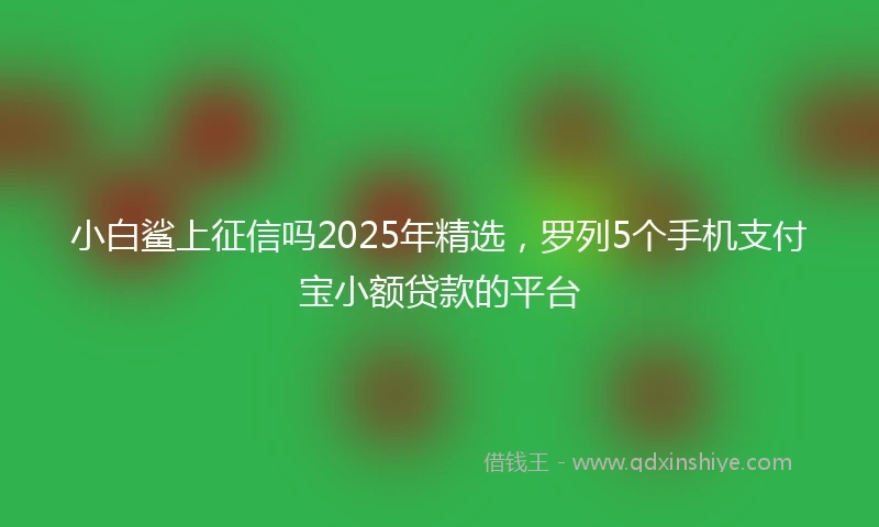 小白鲨上征信吗2025年精选，罗列5个手机支付宝小额贷款的平台
