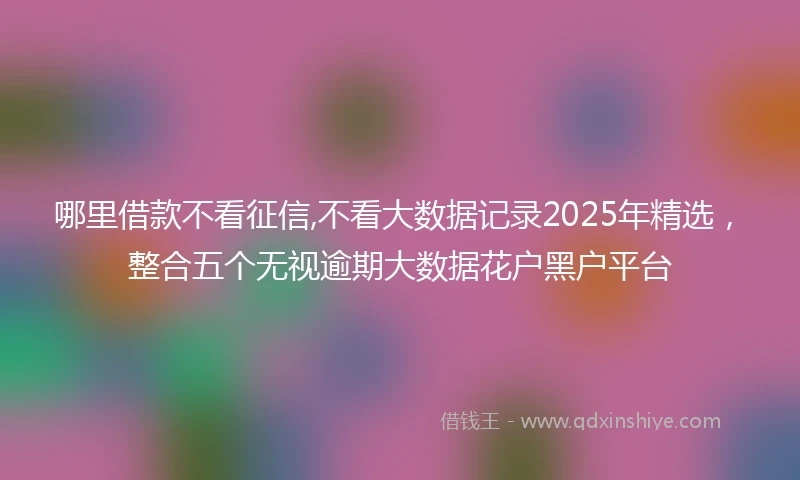 哪里借款不看征信,不看大数据记录2025年精选，整合五个无视逾期大数据花户黑户平台