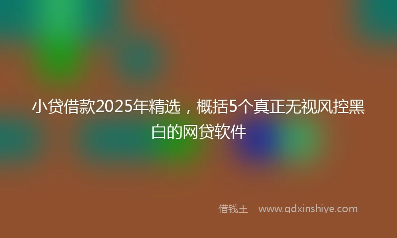 小贷借款2025年精选，概括5个真正无视风控黑白的网贷软件