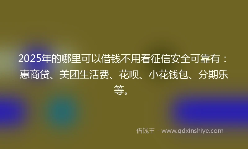 2025年的哪里可以借钱不用看征信安全可靠有：惠商贷、美团生活费、花呗、小花钱包、分期乐等。