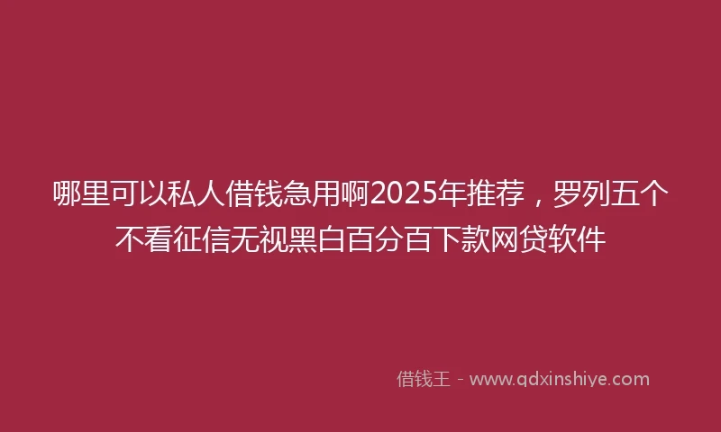 哪里可以私人借钱急用啊2025年推荐，罗列五个不看征信无视黑白百分百下款网贷软件
