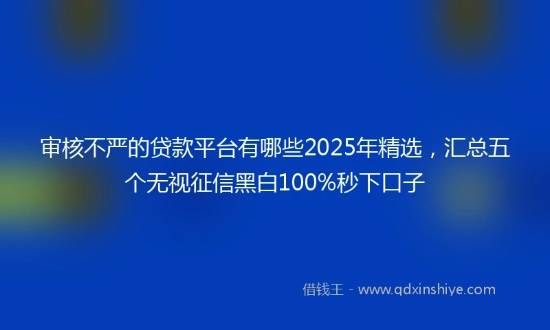 审核不严的贷款平台有哪些2025年精选，汇总五个无视征信黑白100%秒下口子