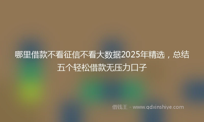 哪里借款不看征信不看大数据2025年精选，总结五个轻松借款无压力口子