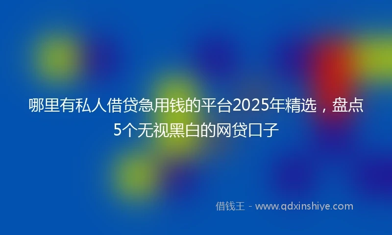 哪里有私人借贷急用钱的平台2025年精选，盘点5个无视黑白的网贷口子