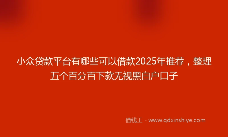 小众贷款平台有哪些可以借款2025年推荐，整理五个百分百下款无视黑白户口子