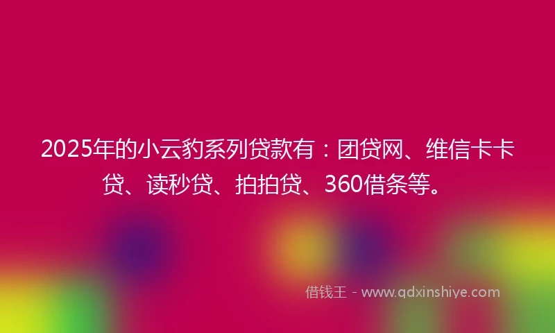 2025年的小云豹系列贷款有：团贷网、维信卡卡贷、读秒贷、拍拍贷、360借条等。