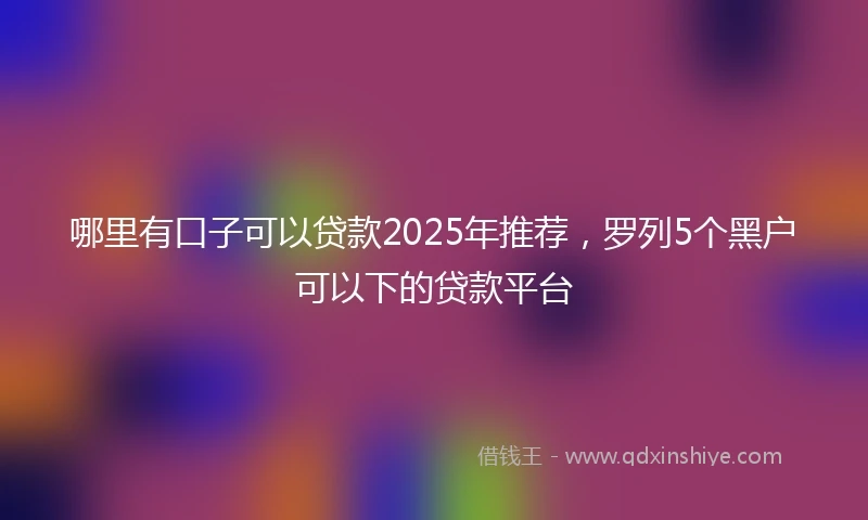 哪里有口子可以贷款2025年推荐，罗列5个黑户可以下的贷款平台