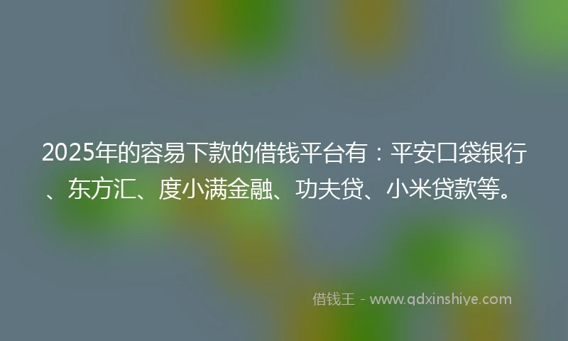2025年的容易下款的借钱平台有：平安口袋银行、东方汇、度小满金融、功夫贷、小米贷款等。