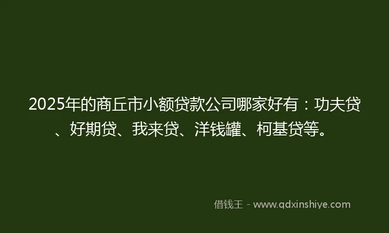 2025年的商丘市小额贷款公司哪家好有：功夫贷、好期贷、我来贷、洋钱罐、柯基贷等。
