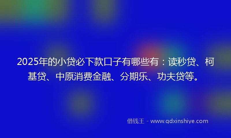 2025年的小贷必下款口子有哪些有：读秒贷、柯基贷、中原消费金融、分期乐、功夫贷等。