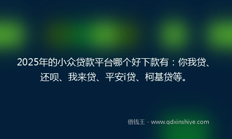 2025年的小众贷款平台哪个好下款有：你我贷、还呗、我来贷、平安i贷、柯基贷等。