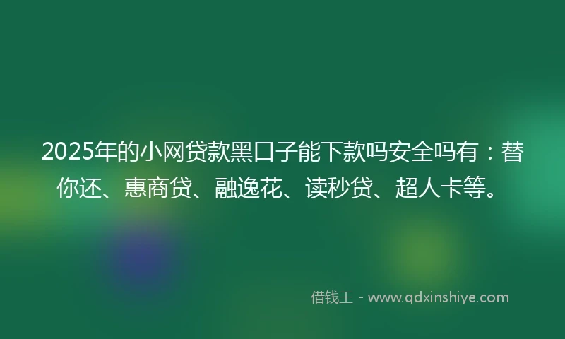 2025年的小网贷款黑口子能下款吗安全吗有：替你还、惠商贷、融逸花、读秒贷、超人卡等。