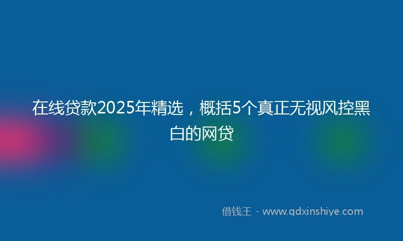 在线贷款2025年精选，概括5个真正无视风控黑白的网贷