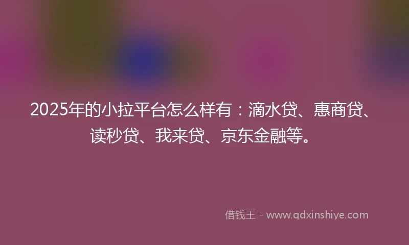 2025年的小拉平台怎么样有：滴水贷、惠商贷、读秒贷、我来贷、京东金融等。