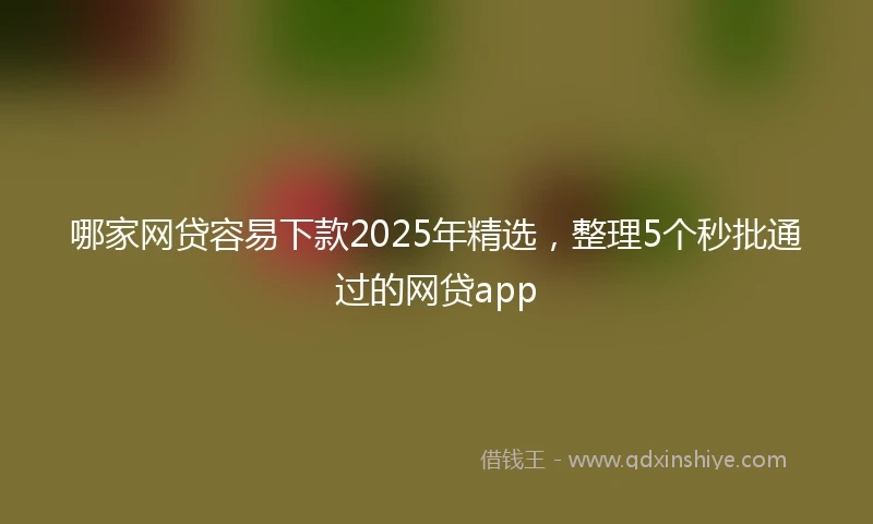 哪家网贷容易下款2025年精选，整理5个秒批通过的网贷app