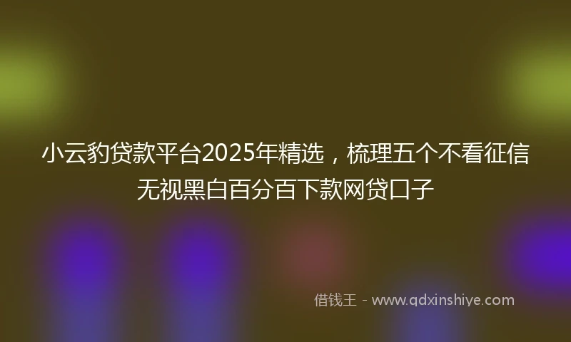 小云豹贷款平台2025年精选，梳理五个不看征信无视黑白百分百下款网贷口子