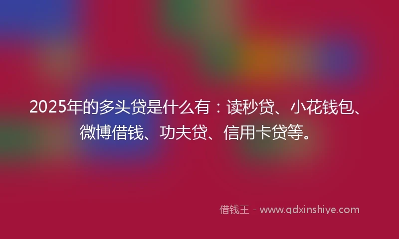 2025年的多头贷是什么有：读秒贷、小花钱包、微博借钱、功夫贷、信用卡贷等。