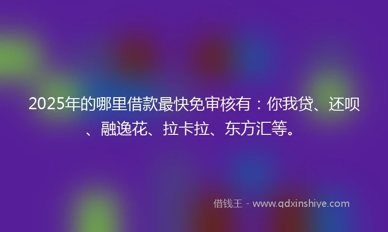 2025年的哪里借款最快免审核有：你我贷、还呗、融逸花、拉卡拉、东方汇等。