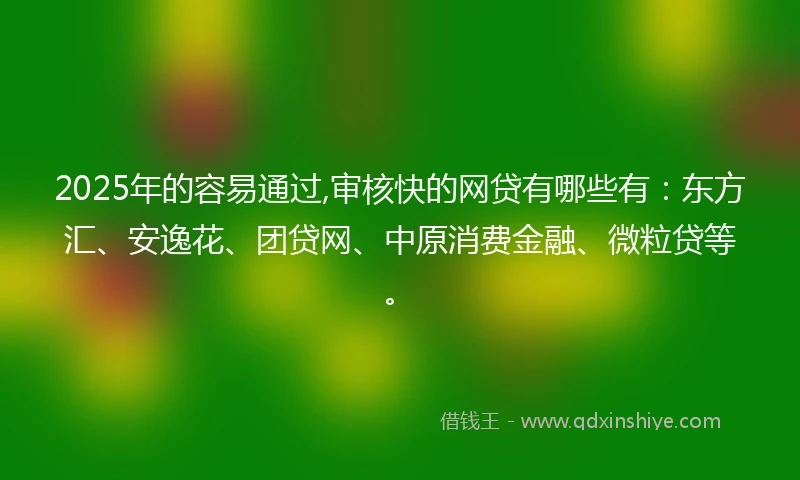 2025年的容易通过,审核快的网贷有哪些有：东方汇、安逸花、团贷网、中原消费金融、微粒贷等。