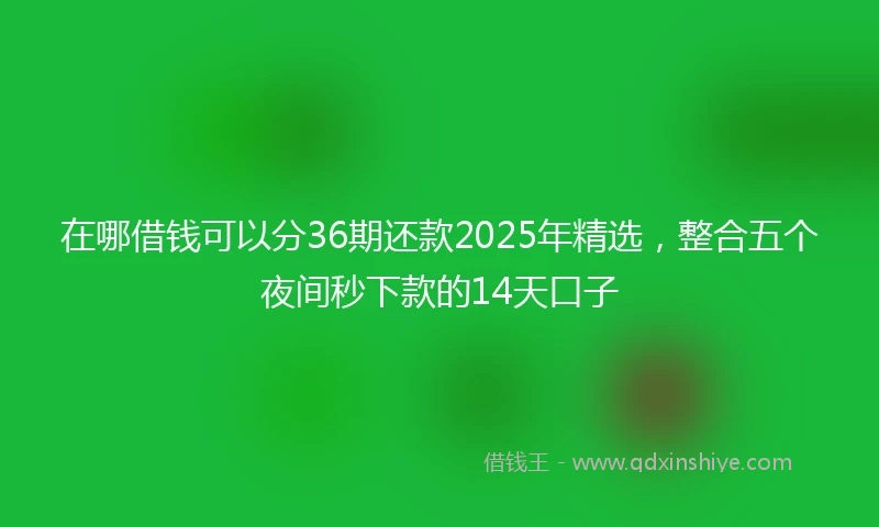 在哪借钱可以分36期还款2025年精选，整合五个夜间秒下款的14天口子