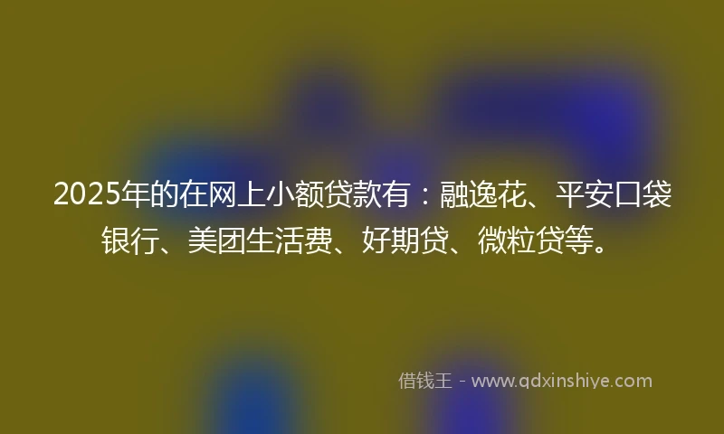 2025年的在网上小额贷款有：融逸花、平安口袋银行、美团生活费、好期贷、微粒贷等。