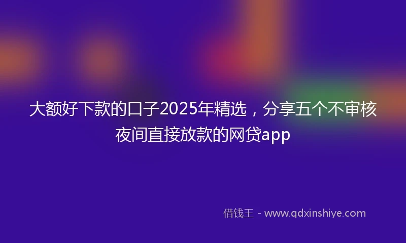 大额好下款的口子2025年精选，分享五个不审核夜间直接放款的网贷app