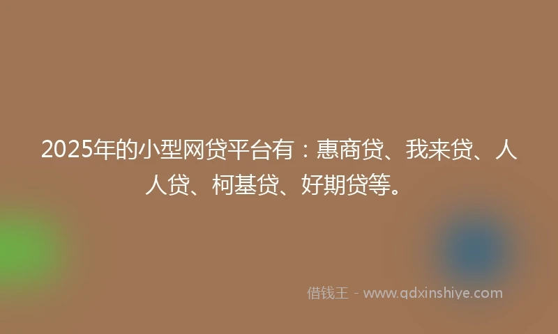 2025年的小型网贷平台有：惠商贷、我来贷、人人贷、柯基贷、好期贷等。