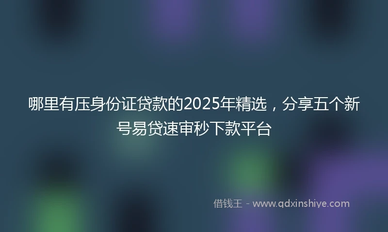 哪里有压身份证贷款的2025年精选，分享五个新号易贷速审秒下款平台