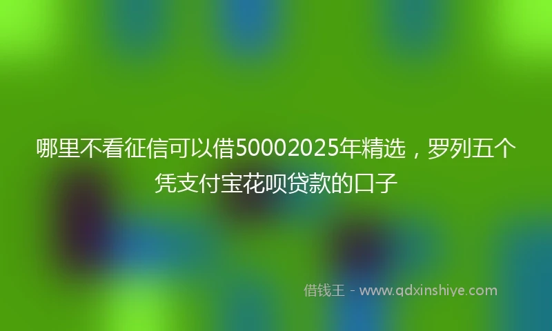哪里不看征信可以借50002025年精选，罗列五个凭支付宝花呗贷款的口子