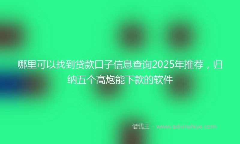 哪里可以找到贷款口子信息查询2025年推荐，归纳五个高炮能下款的软件