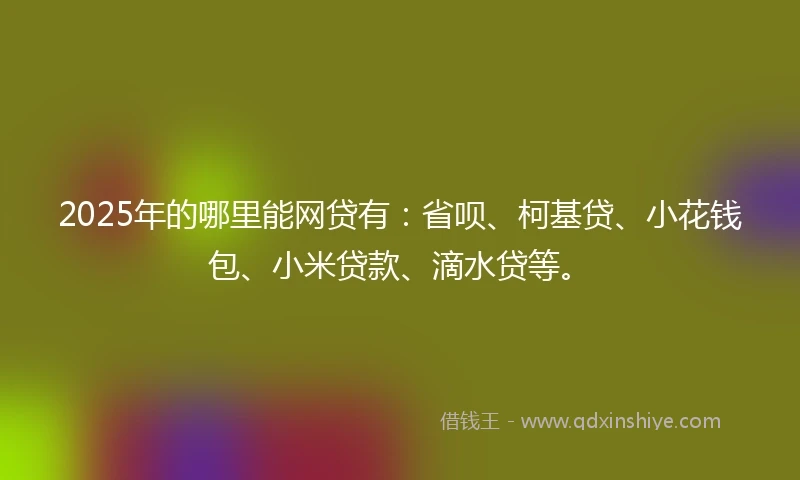 2025年的哪里能网贷有：省呗、柯基贷、小花钱包、小米贷款、滴水贷等。