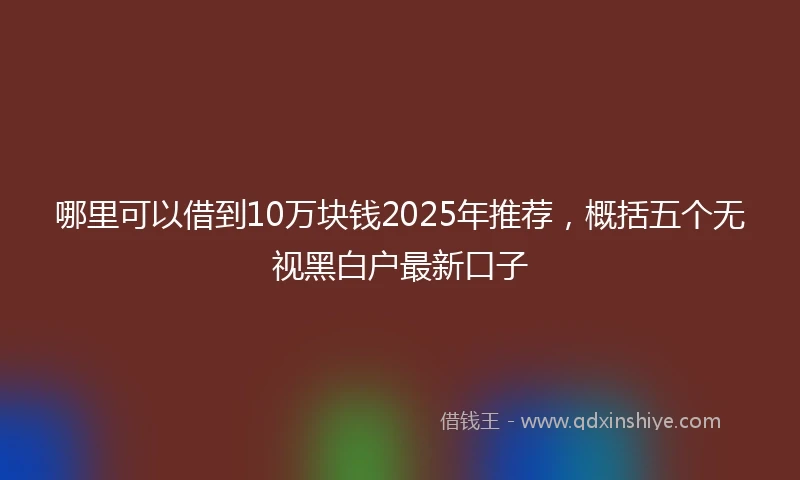 哪里可以借到10万块钱2025年推荐，概括五个无视黑白户最新口子