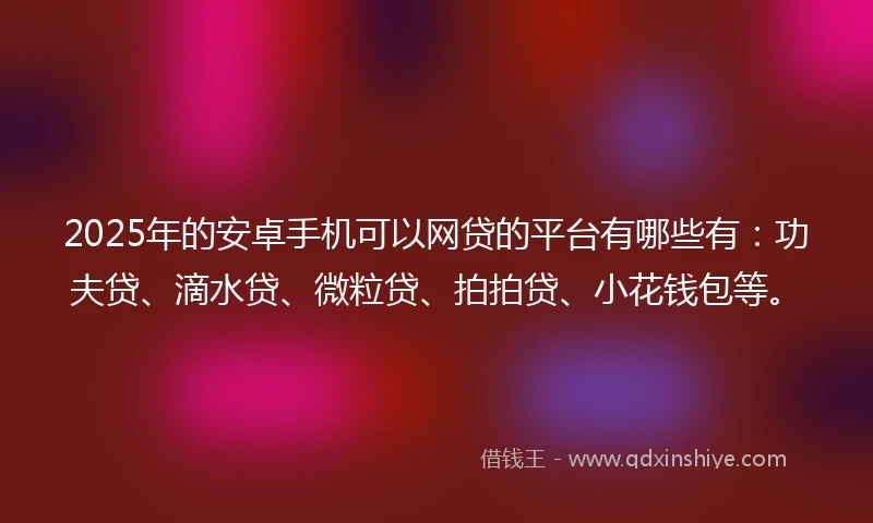 2025年的安卓手机可以网贷的平台有哪些有：功夫贷、滴水贷、微粒贷、拍拍贷、小花钱包等。